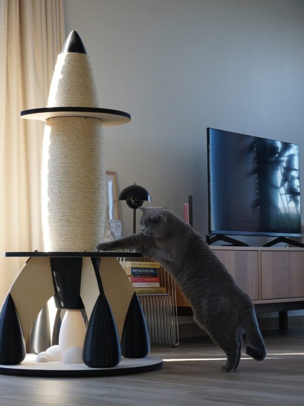 raCat MK1 George