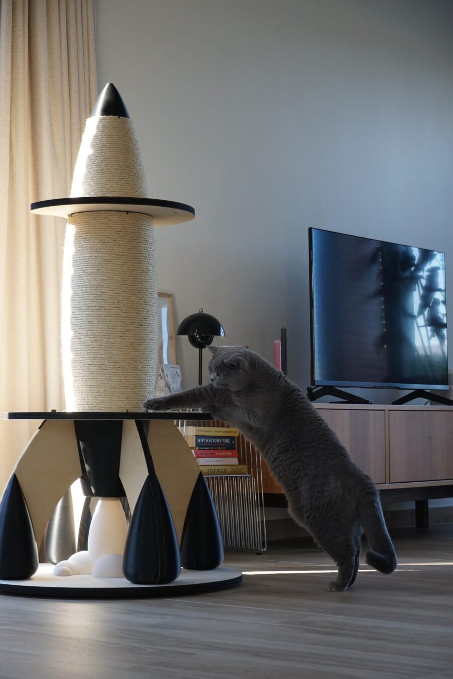 raCat MK1 George raCat MK1 George