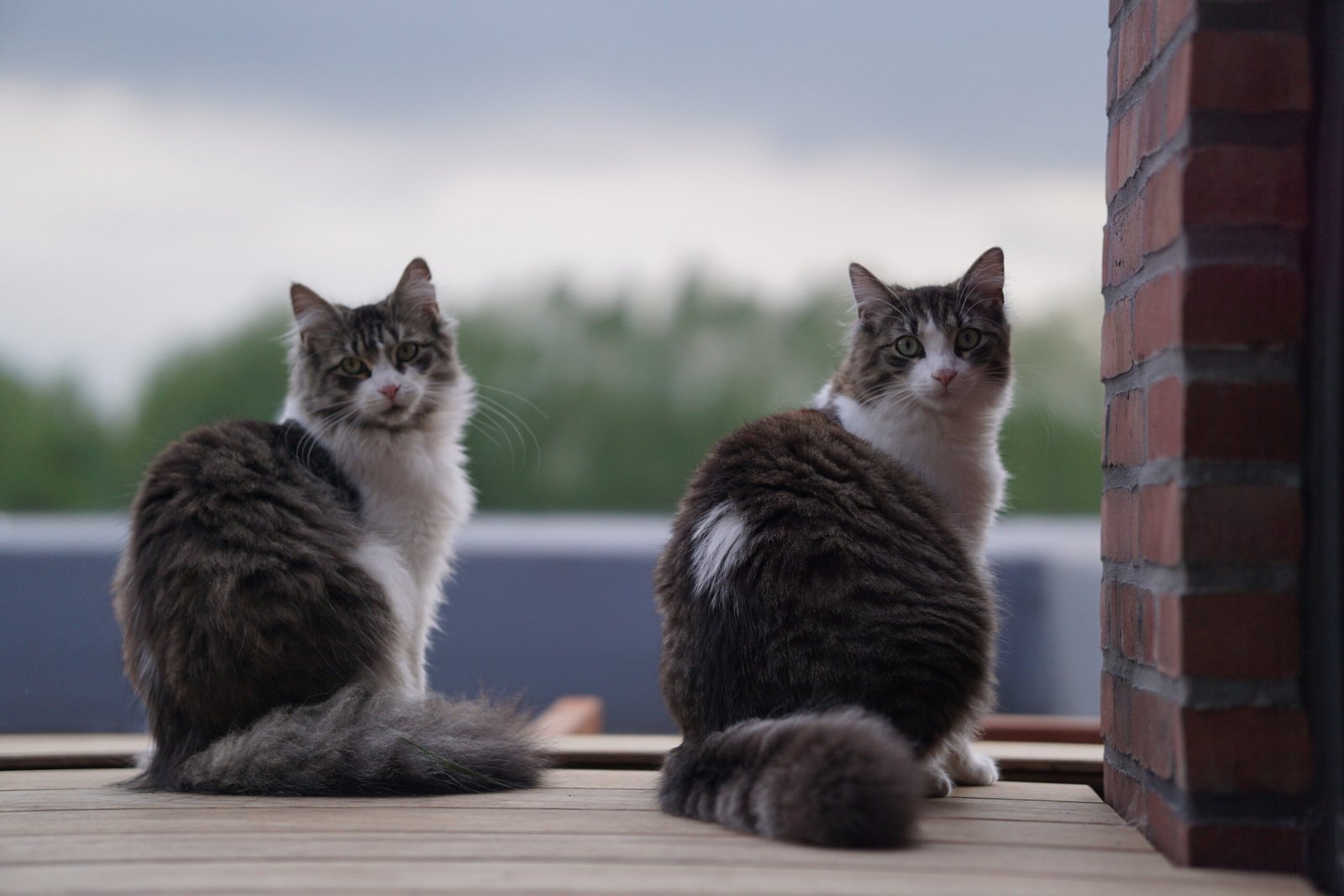 Fons en Harry van Racat