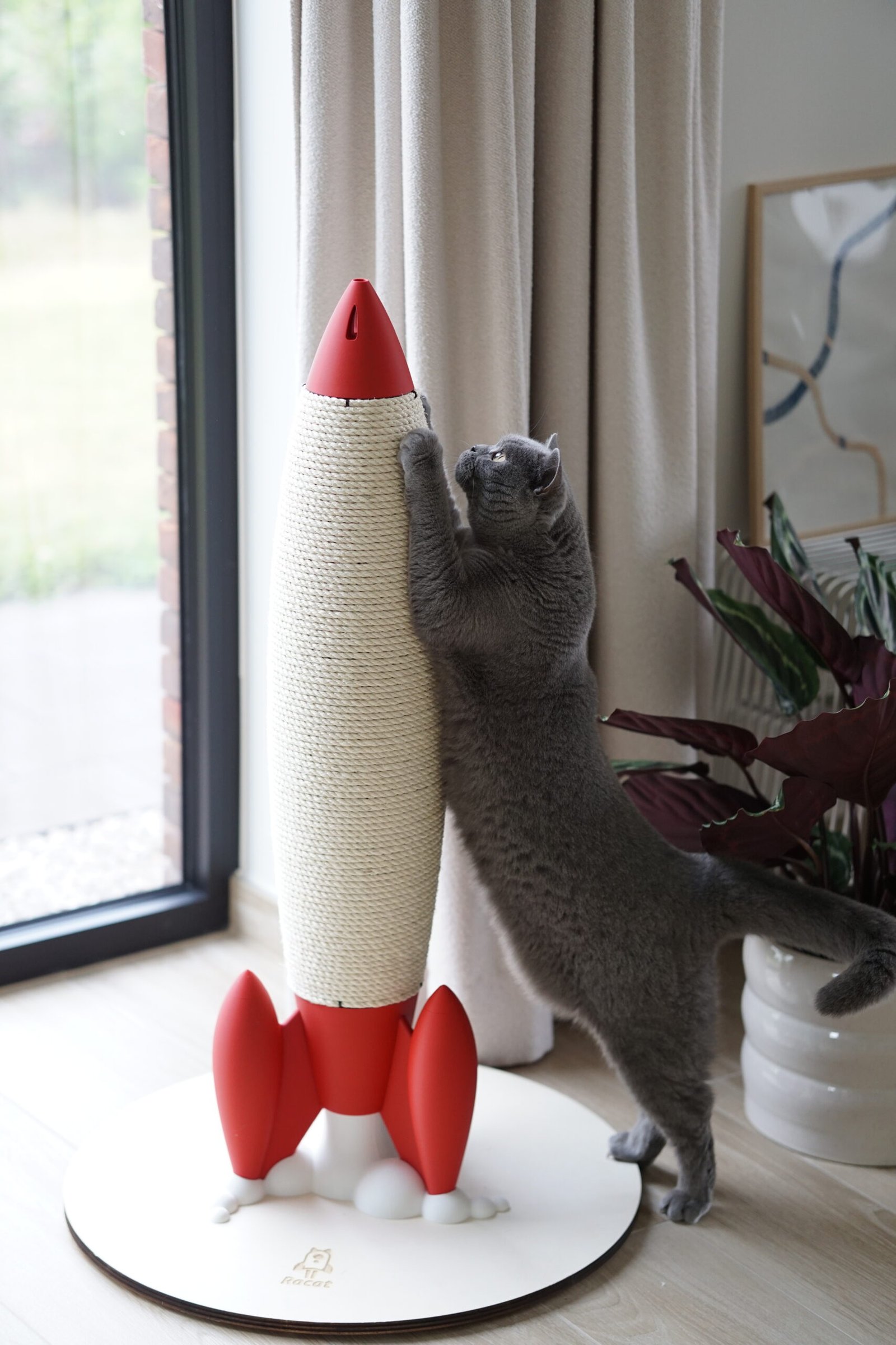 Kat krabt aan MK2
